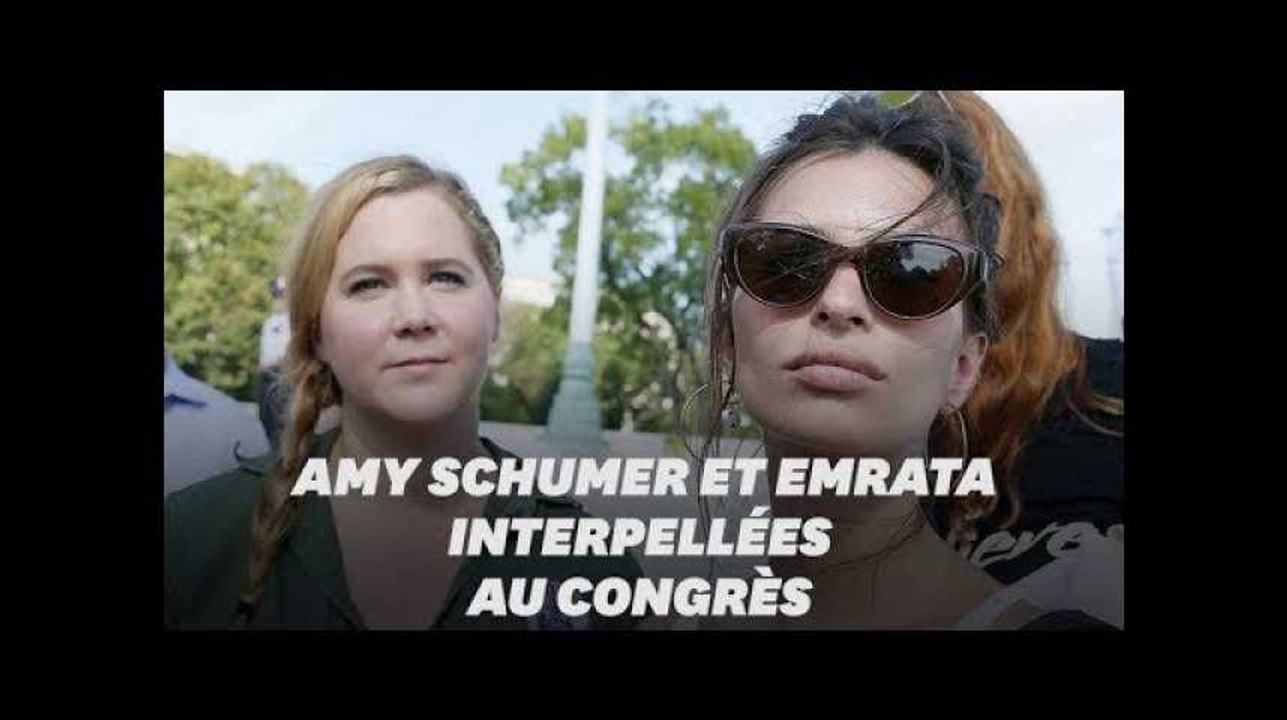 Amy Schumer et Emily Ratajkowski interpellées lors d'une manifestation contre Kavanaugh