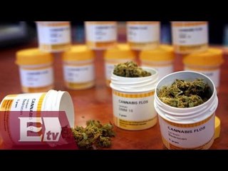 SCJN niega amparo para comercializar mariguana medicinal/ Vianey Esquinca