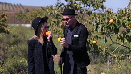 "Pop Culture" këtë të shtunë, ora 15:40, me Robert Aliaj