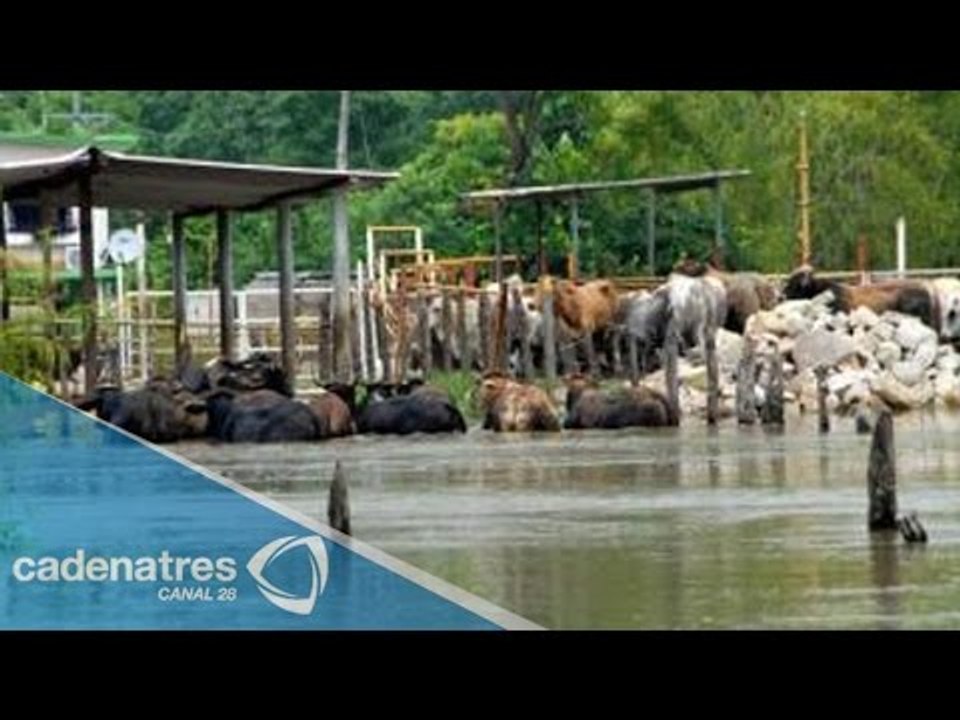 Tabasco sufre afectaciones tras fuertes lluvias