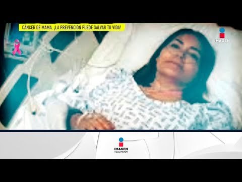 ¡Ellas son algunas famosas que lucharon contra el cáncer de mama! | De Primera Mano