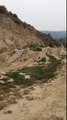 Dog follows guy over the bike jumps