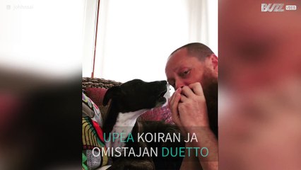 Koira laulaa bluesia omistajansa huuliharpun tahtiin