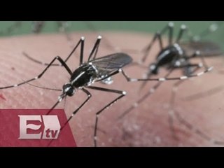Chiapas el estado con más casos de zika a nivel nacional / Enrique Sánchez