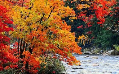 CAN YAKAN DERTLI TURKULER  2017-2018