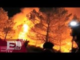 Más de 89 mil Incendios forestales en el país  durante el útimo año / Ricardo Salas