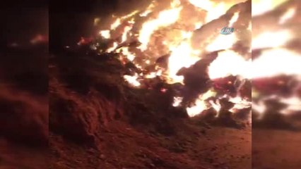 Ağrı'da 3 Bin 500 Balya Ot Küle Döndü