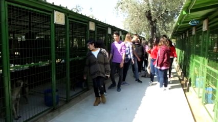 Öğrenciler harçlıkları ile köpeklere mama aldı kulübe yaptırdı