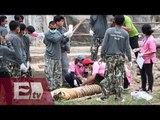 Retiran a felinos del Templo del Tigre por presunto tráfico de animales/ Yazmín Jalil