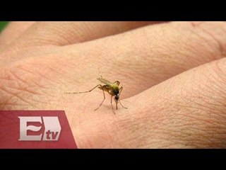 PRD y la campañas informativas en torno al Zika / Paola Virrueta