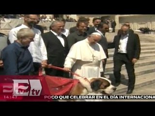 Papa Francisco se reúne con "el mejor amigo del hombre" / Ricardo Salas