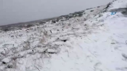 Önce Hortum, Sonra Şiddetli Yağmur, Şimdi de Kar... Ambarlı Yaylası'na Mevsimin İlk Karı Yağdı