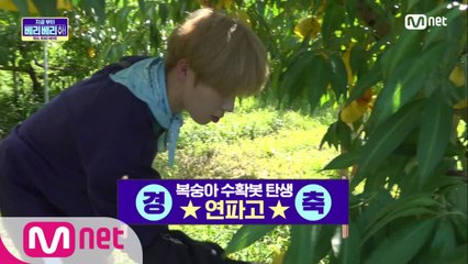 [3회] 복숭아 수확봇 탄생(?) 알파고도 아닌 연파고의 정체는?