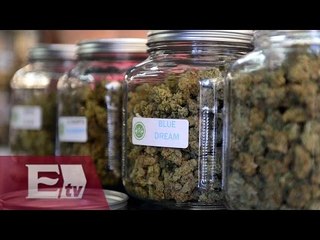 Senadores posponen dictamen sobre uso medicinal de la mariguana/ Hiram Hurtado