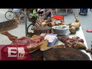 Todo listo en China para el festival de carne de perro / Yazmín Jalil
