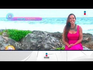 Horóscopos 24 de noviembre: aprovecha la energía de la serpiente eléctrica | Sale el Sol