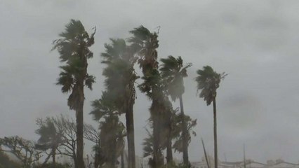 태풍 콩레이 북상...내일새벽 제주도 강타 / YTN