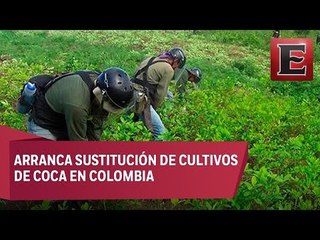 Gobierno de Colombia y FARC comienzan trabajos en conjunto