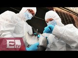 Detectados en China tres casos humanos de gripe aviar/ Paola Virrueta