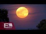Luna de fresa en solsticio de verano / Martín Espinosa