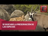 Prevén que zoológicos capitalinos se conviertan en parques ecológicos