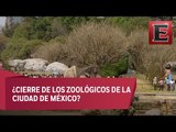 Protestantes piden el cierre de los zoológicos de la Ciudad de México