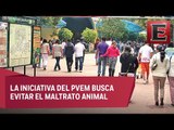 Partido Verde propone cerrar zoológicos y acuarios en México