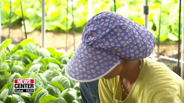 Immigration workers earn average 1,770 USD… men make 265 dollars more than women