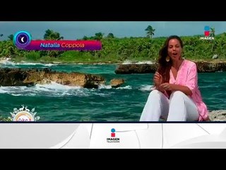 Horóscopos 5 de diciembre: vibramos con la energía del guerrero magnético | Sale el Sol