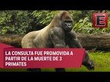 Promueven consulta ciudadana para cerrar Zoológico de Chapultepec