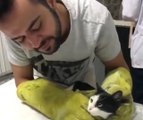 Veteriner, Ameliyat Edeceği Kediyle Düet Yaptı