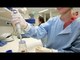 Gran Bretaña aprueba concepción in vitro con ADN de tres personas