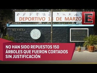 Denuncian tala de árboles en el Deportivo 18 de Marzo