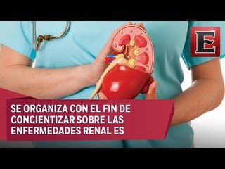 Conmemorarán el Día Mundial del Riñón con perspectiva de género