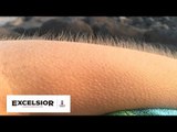 ¿Por qué se nos hace la 'piel de gallina'? WB