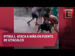 Breves Metropolitanas: Captan otro ataque de Pitbull a niña en Iztacalco