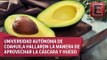 Creación de biocombustibles a partir de residuos de aguacate