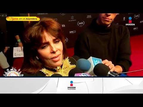 ¡Desfile de luminarias en la alfombra roja de los premios Fénix! | Sale el Sol