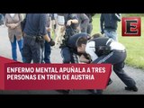 Hombre apuñala a tres personas en tren de Austria