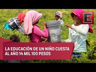 INEE pedirá a SEP más atención a niños jornaleros
