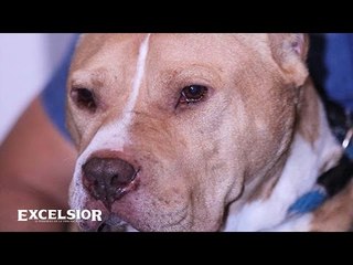 Toto, de las peleas clandestinas a la vida familiar