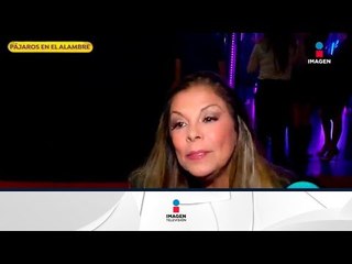 ¡Ilse, Ivonne y Mimi vienen con todo para el 2018! | Sale el Sol