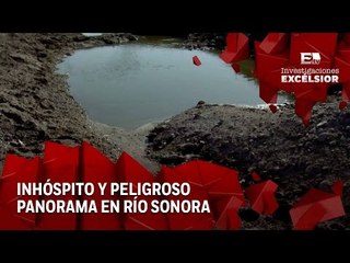 Grupo México a dos años de Impunidad Segunda Entrega: Miles de animales muertos