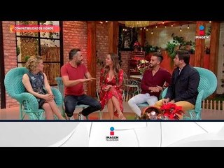 Compatibilidad entre signos astrológicos | Sale el Sol