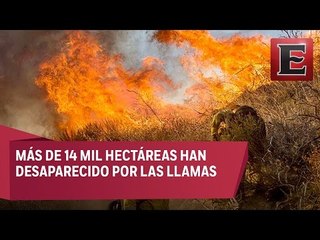 Incendio ha consumido 105 viviendas en California