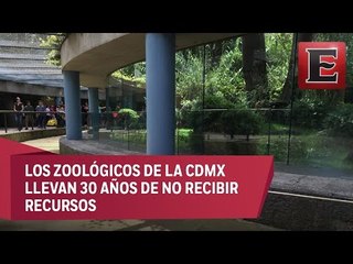 Rehabilitación de los Zoológicos de la CDMX