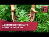 DEA mantendrá marihuana en lista de drogas más peligrosas