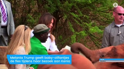 Melania krijgt beuk van olifant