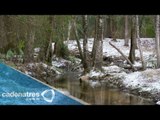 Alabama bajo cero tras fuertes nevadas