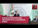 Peña Nieto anuncia implementación de Seguridad Pública